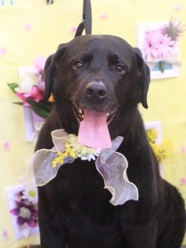 20230307こてつくん